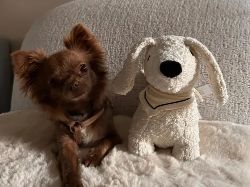 reviewer profile image